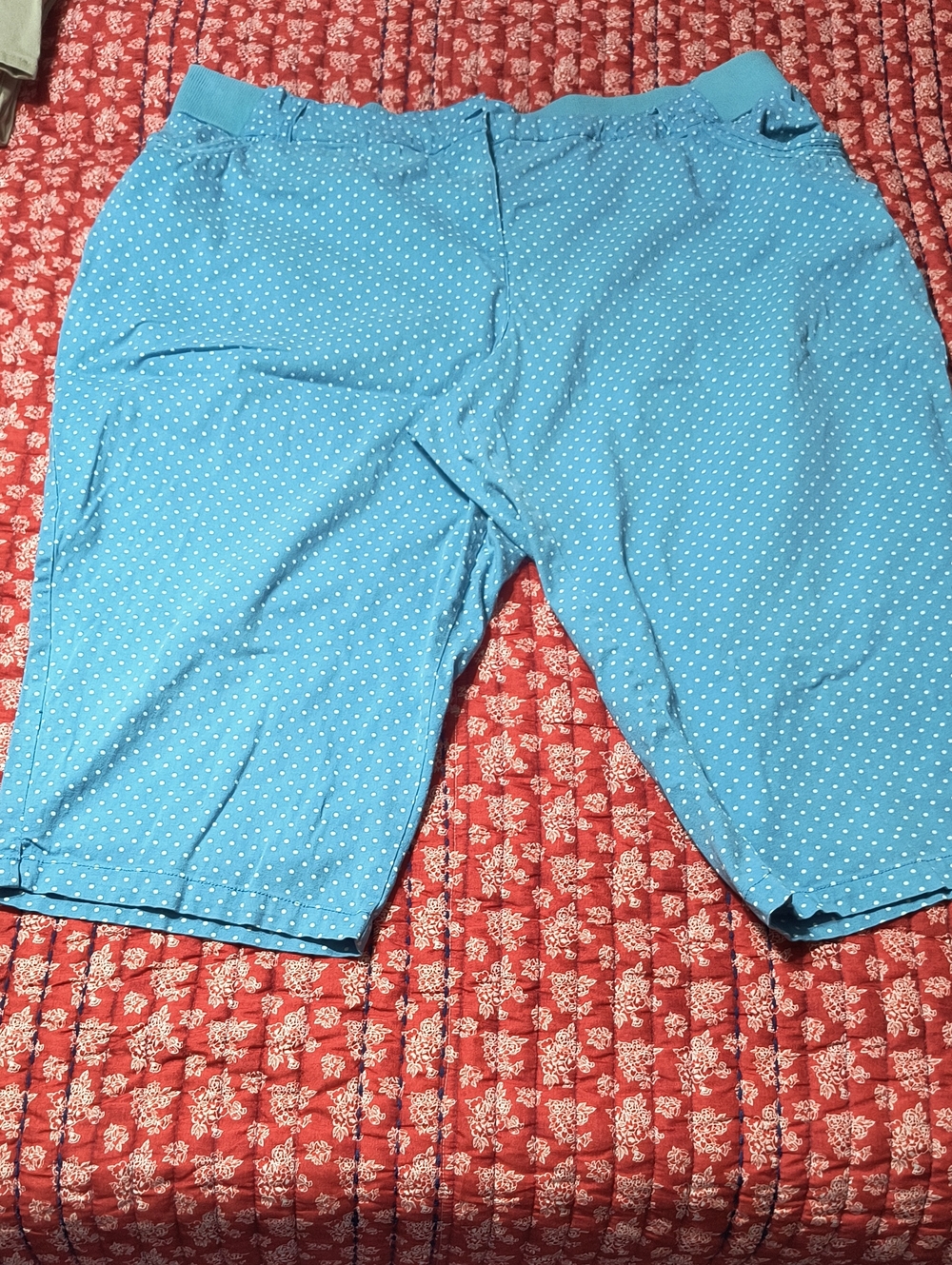 Light Blue Polka Dot Casual Capris